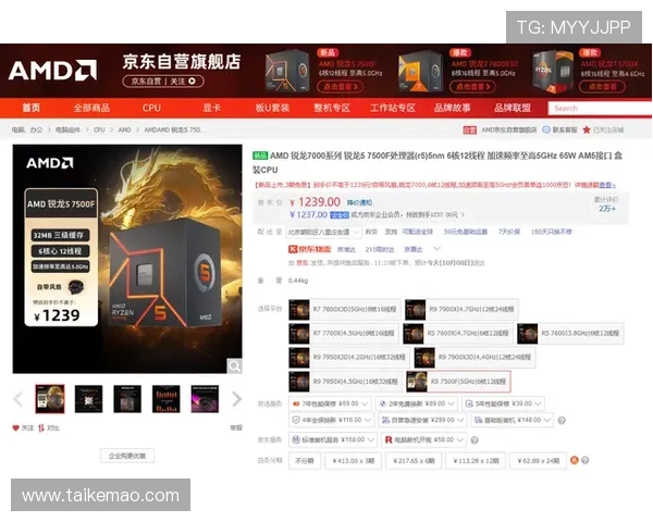 海洋之神正规网址导航,确保玩家安全畅玩游戏的官方入口及相关注意事项